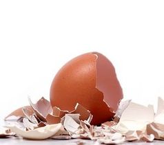 Eierschalen sind der Rohstoff für Elektroden. Bild: murdoch.edu.au