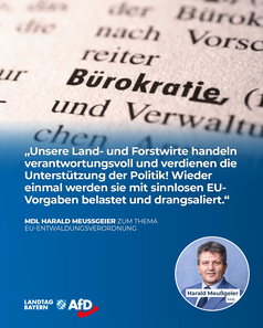 Bild: AfD Deutschland