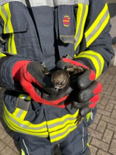 Bild: Feuerwehr Celle