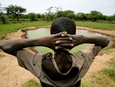 Bild: Brent Stirton / Getty Images / WWF