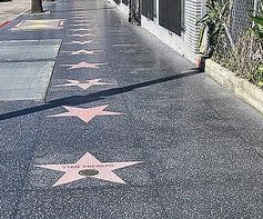 Sterne auf dem "Walk of Fame" in Hollywood. Bild: dts Nachrichtenagentur