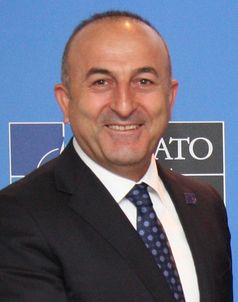 Mevlüt Çavuşoğlu (2017)