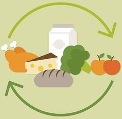 Nahrungsmittelkreislauf: Start-up hilft beim Sparen. Bild: myfoody.it