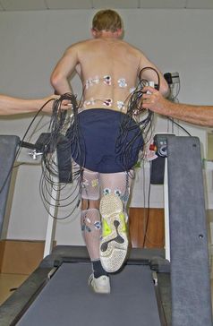 Rennender Proband auf dem Laufband, Elektroden messen die Aktivität von Muskeln, die für die Fortbewegung wesentlich sind.
Quelle: Foto: UKJ (idw)