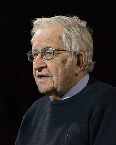 Noam Chomsky (2017), Archivbild