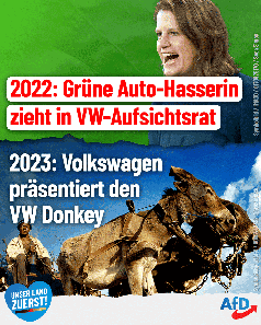 Bild: AfD Deutschland