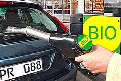 Bild: EIKE - Europäisches Institut für Klima und Energie