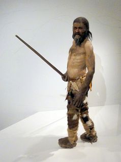 Rekonstruktion des „Ötzi“ (Südtiroler Archäologiemuseum, 2011) Bild: Mattes / de.wikipedia.org
