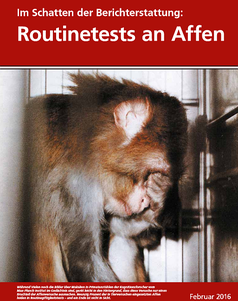 Bild: Screenshot "Im Schatten der Berichterstattung: Routinetests an Affen"