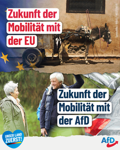 Bild: AfD Deutschland