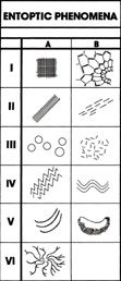 Basistypen von geometrischen Strukturen, nach Lewis-Williams und Dowson (1988).