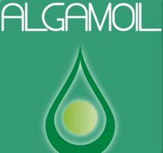 Algamoil: Der neue Treibstoff überzeugt in ersten Tests. Bild: youtube.com