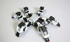 Sechsbeiniger Roboter: Neue Gangart sorgt für Aufmerksamkeit. Bild: epfl.ch