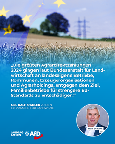 Bild: AfD Deutschland