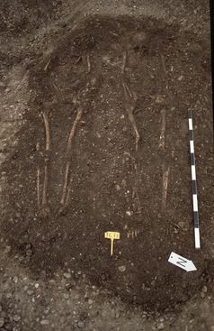 Fig. 1. „Mehrfachgrab“ aus dem 6. Jahrhundert. Aus den Zähnen solcher Skelette konnten Wissenschaftl
Quelle: Foto: © H-P. Volpert (idw)