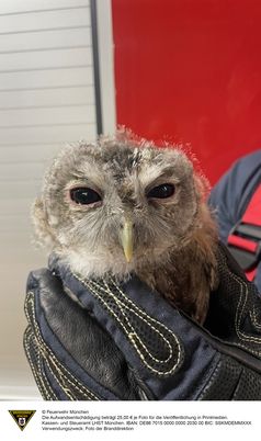 Bild: Berufsfeuerwehr München