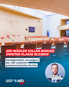 Bild: AfD Deutschland
