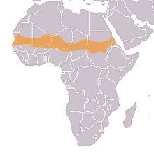 Die Lage der Sahelzone in Afrika Bild: Felix Koenig (King) / de.wikipedia.org
