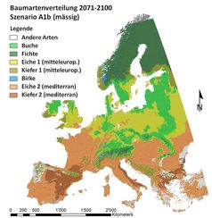 Abb. 1: Potenzielle Verbreitung der wichtigsten Baumarten in Europa für das Szenario A1B (mässige Erwärmung 2070–2100).
Quelle: M. Hanewinkel / WSL (idw)
