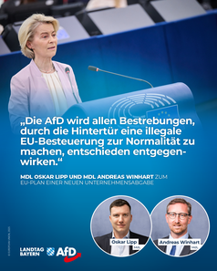 Bild: AfD Deutschland