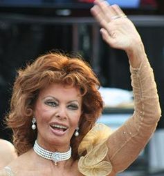 Sophia Loren Bild: Chrisa Hickey
