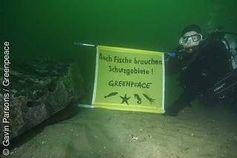 Ein Greenpeace-Taucher neben einem der versenkten Steine im Sylter Außenriff.  Bild: Greenpeace