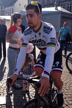 Peter Sagan (2019)