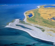 Ostsee bei Rügen. © WWF