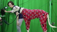 Motion Capture: Hunde lassen sich günstig digital vermessen.