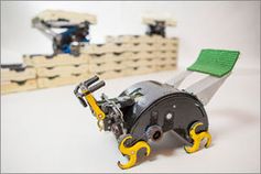 "Termes": Roboter gemeinsam bei der Arbeit. Bild: wyss.harvard.edu