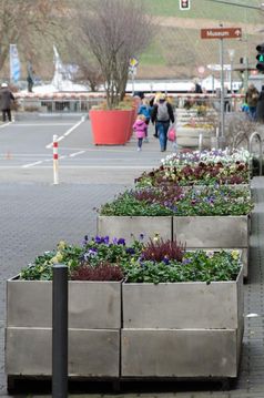 Pflanzkübel an der Bahnschranke – hier in Winterflora - sollen im Frühjahr mit Nutzpflanzen bestückt werden. Quelle: FH Bingen (idw)