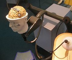 Gehirn: Formen des elektrischen Dopings untersucht. Bild: Flickr/Sandberg