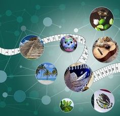 Lernen funktioniert wie Orientierung im physikalischen Raum.