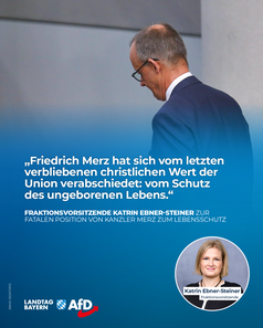 Bild: AfD Deutschland