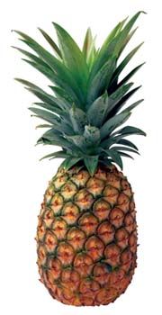 Ananas