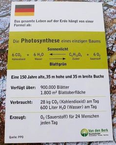 CO2 und O2 befinden sich in einem Lebenskreislauf: Wer CO2 reduziert, reduziert das Leben auf dem Planeten. Steigt der Gehalt an CO2, gibt es mehr Leben (Symbolbild)