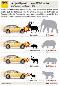 Grafik: ADAC