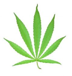 Cannabis: Wirkung wissenschaftlich geklärt. Bild: pixelio.de/manwalk