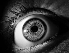 Auge: bei hohem Augeninnendruck droht Erblinden.