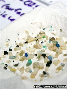 Plastikmüll aus dem Meer: Mengen sind etwas zurückgegangen. Bild: sea.edu