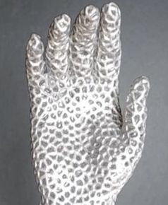 "Terminator"-Hand: einer der Prototypen.