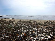 Vermüllter Strand: Plastikteile sind ein ernstes Problem. Bild: pixelio.de/IESM