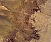 Im Mars-Frühling treten die dunklen Fliessspuren in Erscheinung – hier an einer Kraterwand im «Newton Basin». Bild: NASA/Uni Arizona/Uni Bern