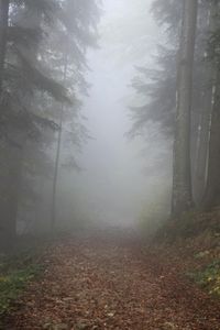 Nebel: Wasserdampf zur Energiegewinnung. Bild: pixelio.de/wolfgang dirscherl