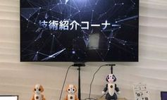Roboter: Experimente in Japan zeigen bereits gute Ergebnisse.