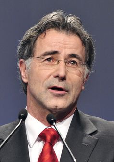 Wolfgang Merkel, 2010.