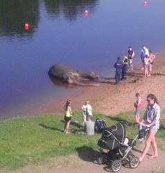 Bergung der toten Mädi aus einem See in Estland. Bild: Delfi lugeja foto