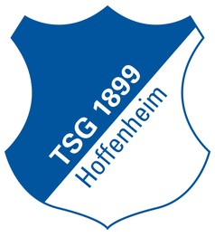 1899 Hoffenheim Logo