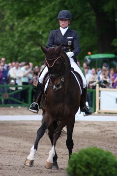 Isabell Werth mit Der Stern OLD, CDI 4* Wiesbaden 2013