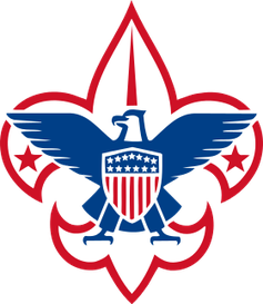 Logo der Organisation Boy Scouts of America